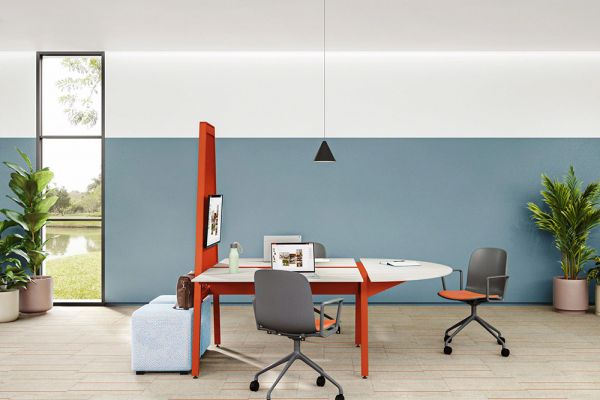 sdib-collaboration-43AB01B2B-2A28-DEF5-CE7B-1E6EB72CCF6B.jpg
