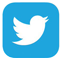 logo twitter design